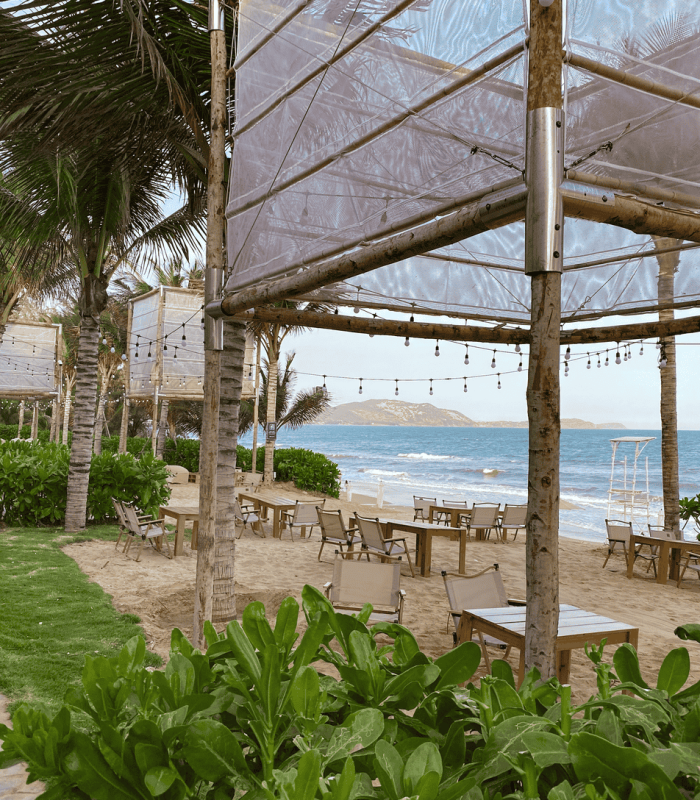 Beach Bar.png